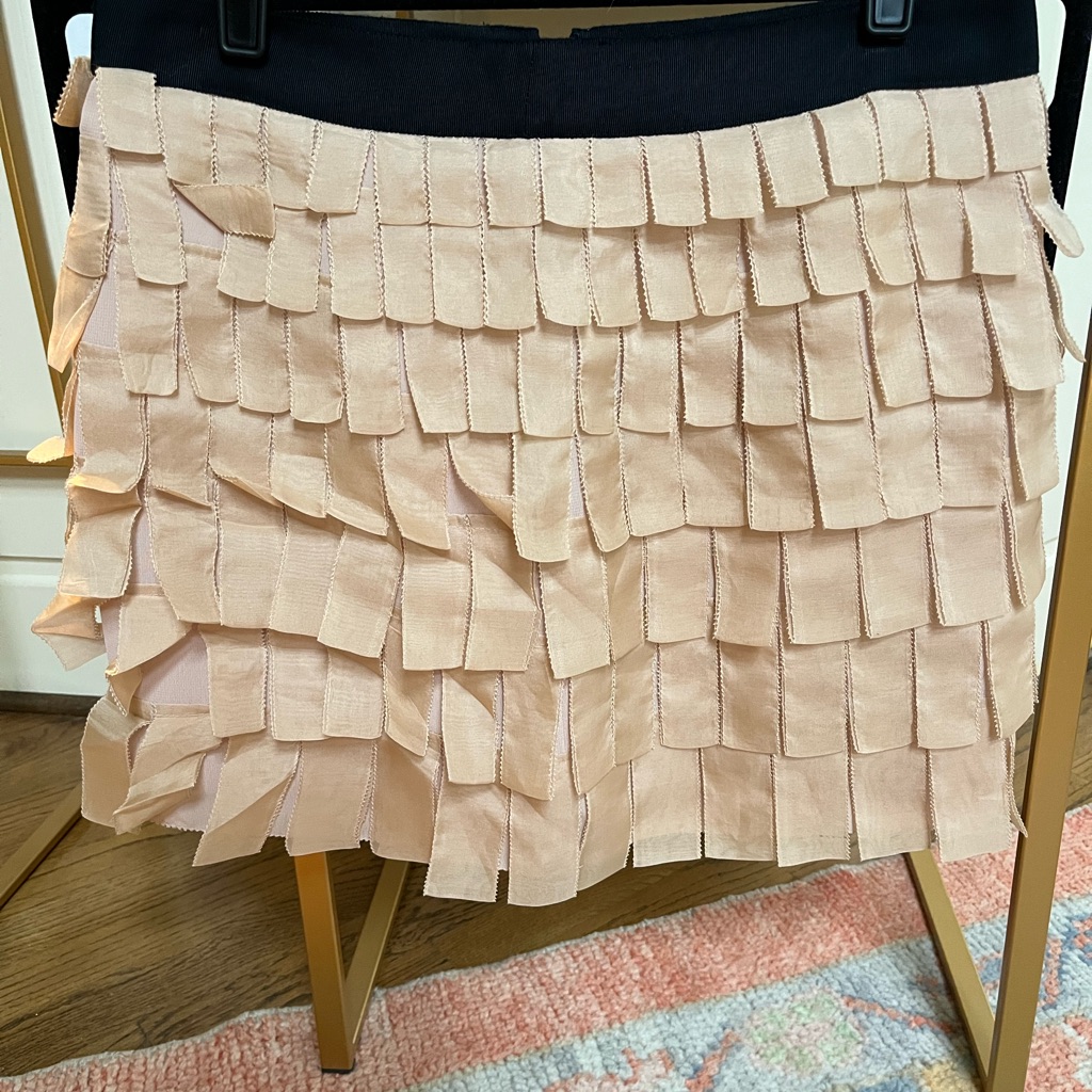 J. Crew Blush Ribbon Skirt With Black Band